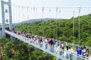 盈香生態(tài)園瀨粉節(jié)開(kāi)幕 5d特效玻璃橋同步開(kāi)放