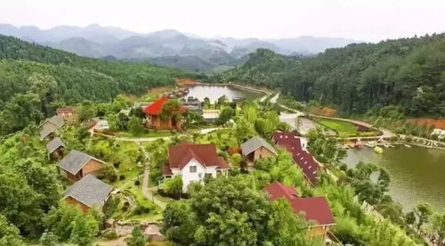 跨越山海 三明在福廈泉推介全域全時旅游與森林康養(yǎng)新體驗