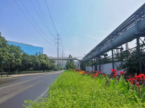 九龍?zhí)渡鷳B(tài)園 獨特生態(tài)旅游體驗震撼市民心靈