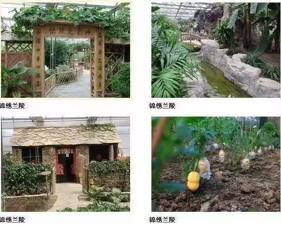 金秋之旅 蘭陵生態(tài)園賞向陽花、品美酒一日游