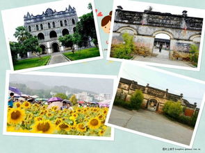 清新、自然，暢聽未來——武宣環豐生態園與九龍潭生態園的生態之旅