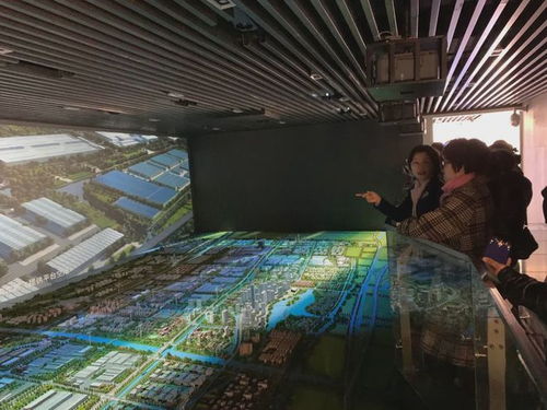 九龍?zhí)渡鷳B(tài)園四年簽約項(xiàng)目超百個，總投資額突破460億元，生態(tài)經(jīng)濟(jì)蓬勃發(fā)展