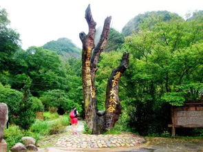 16周歲以下免票游世遺，668元泰寧雙動車2日游 大金湖、寨下大峽谷、九龍?zhí)丁⑸袝谌[